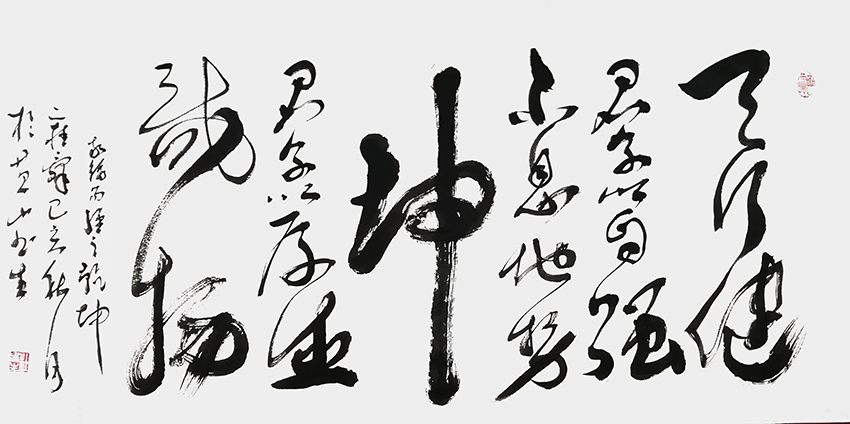 杜书生作品8《天行健君子以自强不息 地势坤君子以厚德载物》